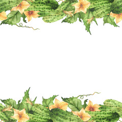 Cucumbers seamless border frame with yellow flowers, leaves, buds and curling plant tendril. Watercolor realistic illustration hand drawn Botanical vegetable harvest pattern Isolated from background