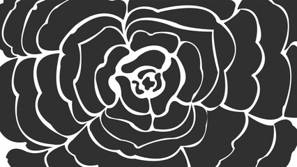 Black and white illustration of flower petals background design. A combination of light and dark. Minimalist pastel color design.