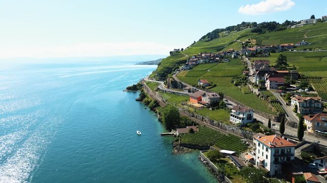 Aerial: Lake Geneva, Saint-Saphorin and Lavaux terraced vineyards during the day in canton of Vaud, Switzerland, establishing drone shot