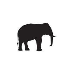 Obraz premium Elephant Side Profile Silhouette on White Background – Vector Illustration for Symbolic Wisdom, Natural Majesty, and Wildlife Heritage Concepts