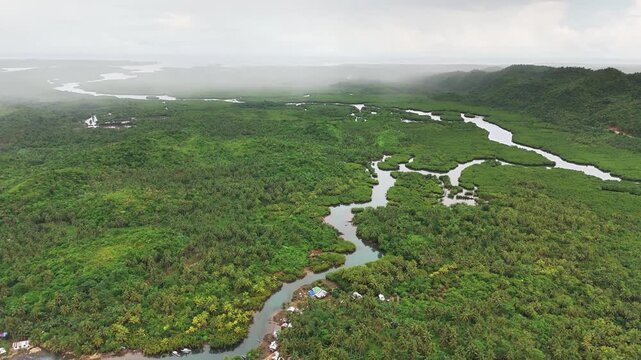 Aerial drone view above the lush Mataob Maasin Mangrove in Siargao Islands, Philippines, reveals the meandering river cutting through vibrant tropical vegetation and untouched natural wetland.