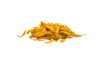 Pile of Golden Yellow Flower Petals Isolated on Transparent Background