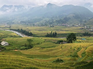 Fototapeta premium rice terraces in vietnam
