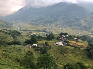 rice terraces in vietnam