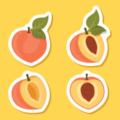 Peach fruit sticker icon set collection in flat style. Apricot vector illustration on isolated background. Nectarine nature snack sign business concept.
