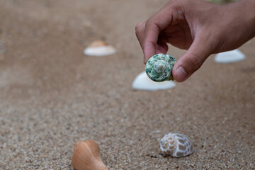 Hand picking up a white seashell from the sandy beach, capturing a quiet moment of coastal exploration.