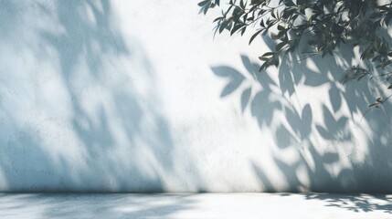 Soft shadows of leaves span across a light-colored textured wall, creating a calming and artistic effect. The light filtering through enhances the tranquil ambiance of the space.