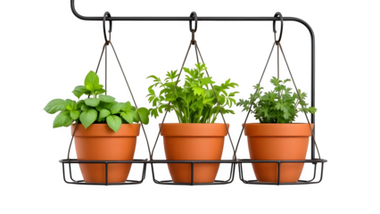 Hanging Herb Planters, isolated on white background