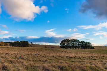 Late afternoon views over the countryside near Braidwood
