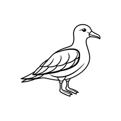 Obraz premium a petrel line art silhouette vector illustration on white background