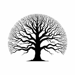 Detailed black silhouette of a large deciduous tree with many branches isolated on white background silhouette