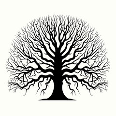 Naklejka premium Intricate black silhouette of a large bare tree isolated on white background silhouette