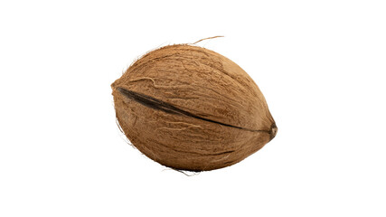 Single Brown Coconut Isolated on Transparent Background