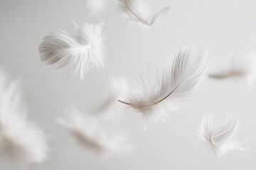 Floating White Feathers Against Light Background