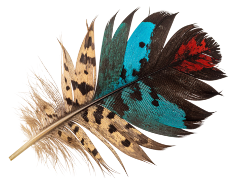 Broken Multicolored Feather with Frayed Edges and Faded Colors, Natural Wear, Transparent PNG