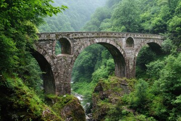 Fototapeta premium A stone arch bridge spans a river gorge surrounded by lush green trees and vegetation in a forest
