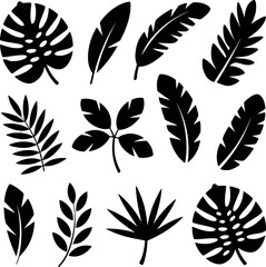 Obraz premium Tropical foliage silhouettes black and white leaves botanical