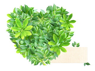 Heart from green leaves and label from recycled paper. Love of nature. Reuse, renewable resources. Eco-friendly, Ecology, go green, zero waste, responsible consumption concept. Isolated on white