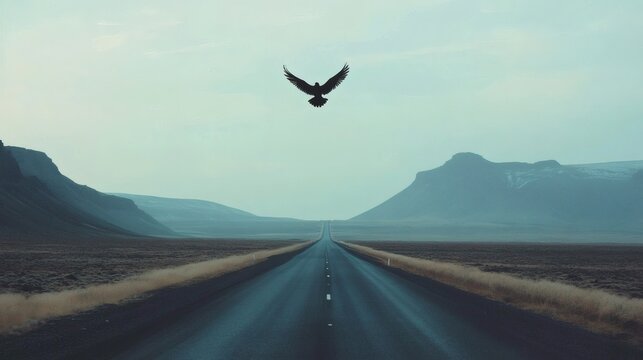 Open road extends to distant mountains with a bird in flight.