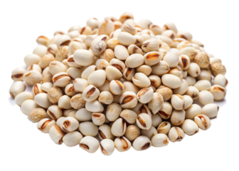 Job’s tears seeds isolated on white background