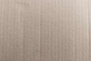 Kraft Texture