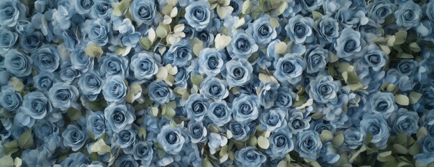 Blue roses flower arrangement background.