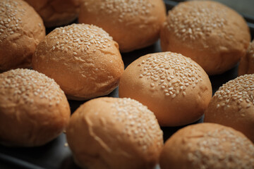 many baked sesame topping burger breads lay on oven tray waiting for cooking, shot with shallow...