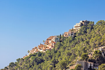 Lush green trees on a slope with houses a sunny summer day
