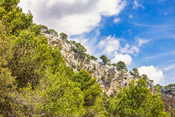 Rock face with lush green trees a sunny summer day