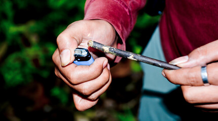 View of workers harvesting frankincense resin