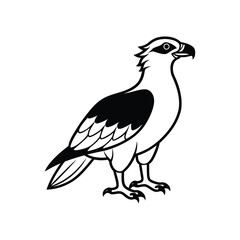 Obraz premium an osprey line art silhouette vector illustration on white background