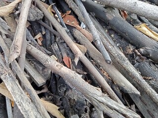 A pile of stacked firewood, prepared for heating the house, Firewood harvested for heating in winter, Chopped firewood on a stack, Firewood stacked and prepared for winter Pile of wood logs.