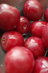 red plum fresh closed up high quality