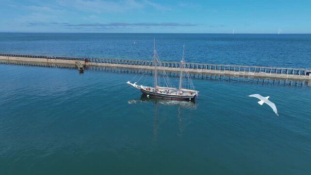 Traditional tall ship sailing along harbour wall, with seabird flying