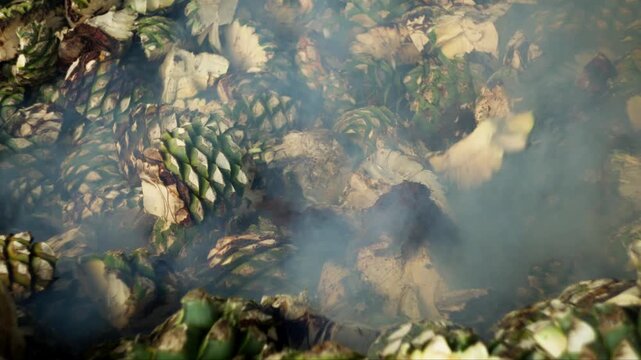 SLOW MOTION SHOT OF AGAVE PINEAPPLES FALLING INTO A FURNACE AT A MEZCAL DISTILLERY IN OAXACA