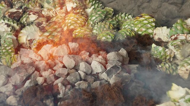 SLOW MOTION SHOT OF AGAVES FALLING INTO THE FLAMES OF AN AGAVE OVEN AT OAXACA DISTILLERY