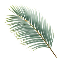 Fototapeta premium Elegant palm leaf detail, perfect for tropical design and natural aesthetic themes