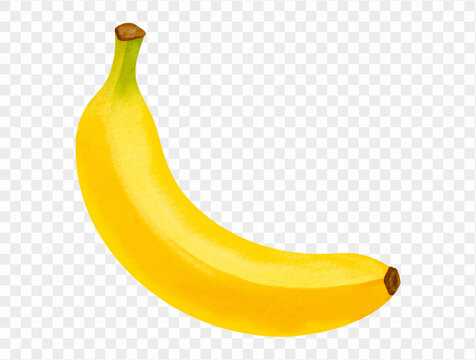Watercolor illustration of a single ripe banana with yellow peel, simple and vibrant tropical fruit design. Vector.