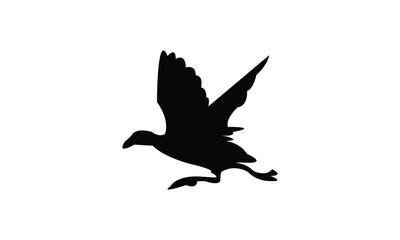 Flying American coot bird Silhouette Design  And Vector Illustration. 