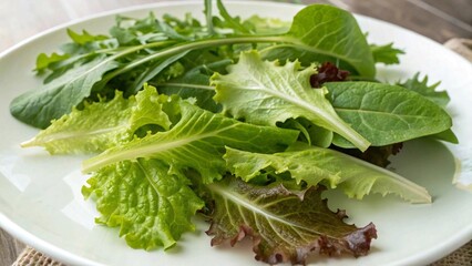 A plate of fresh, healthy green salad with crisp lettuce and mixed organic vegetables