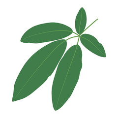 branch of green leaves