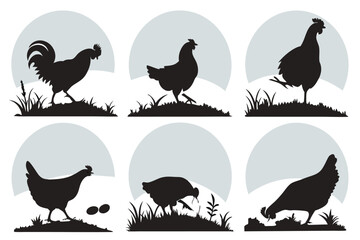 Farmyard Chicken Silhouettes Collection
