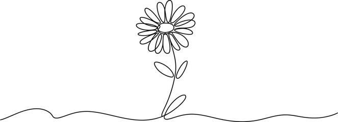 Single line drawing of a daisy flower and grass on white background
