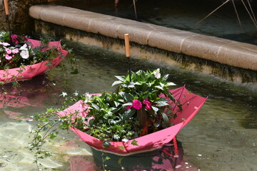plantes et fleurs 