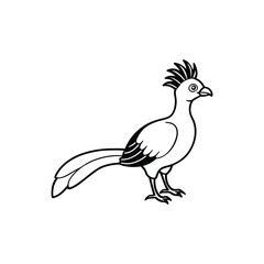 Obraz premium a turaco line art silhouette vector illustration on white background