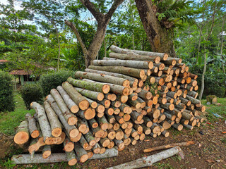 Stack of freshly cut tree logs neatly arranged on ground in outdoor forest area with green trees and natural background