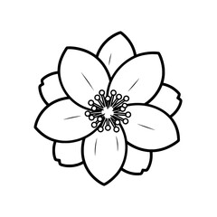 Flower with large petals and detailed center for decoration