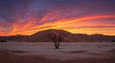 Arid expanse beneath vibrant sky