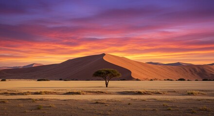 Lone tree stands beneath fiery dunescape