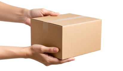 Woman hands with cardboard box isolated on transparent background